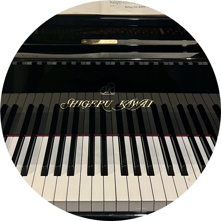 Shigerukawai-gaienpianosalon